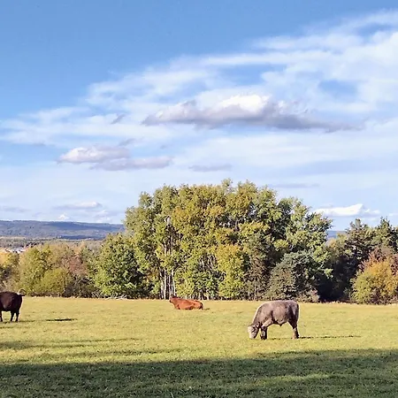 Hajovna Libice Rybníky