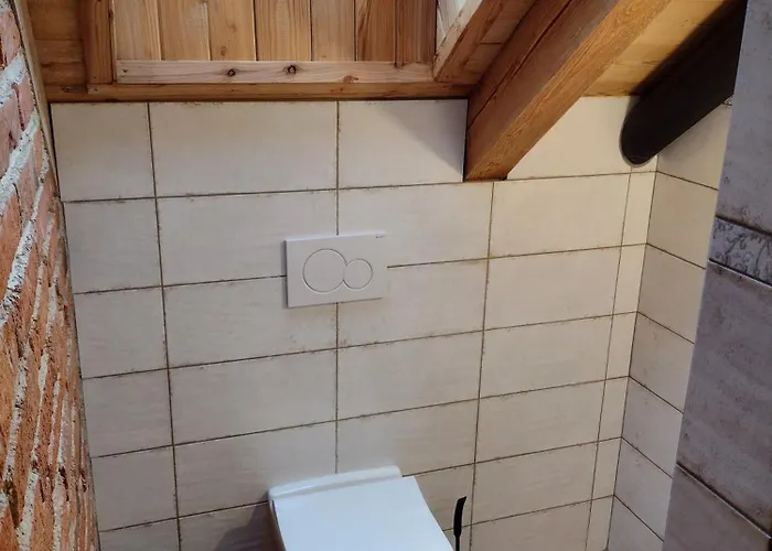 Apartment Hajovna Libice *