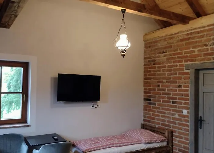 Apartment Hajovna Libice