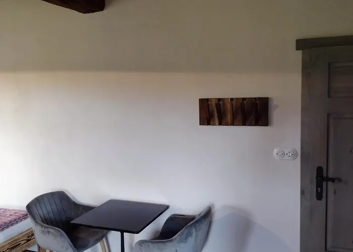 Apartment Hajovna Libice *