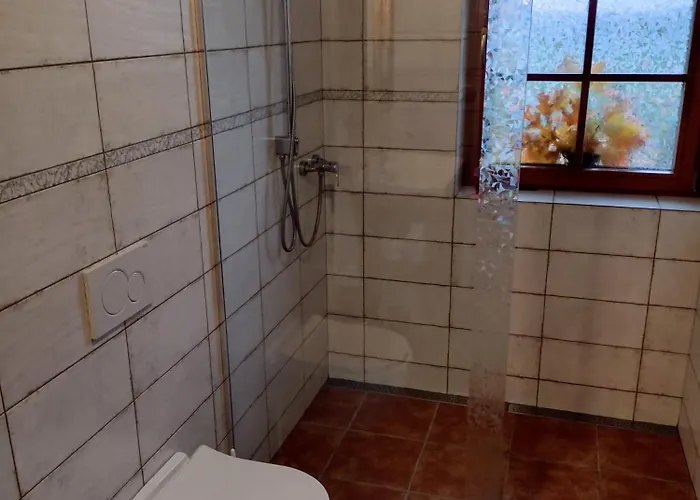 Apartment Hajovna Libice *