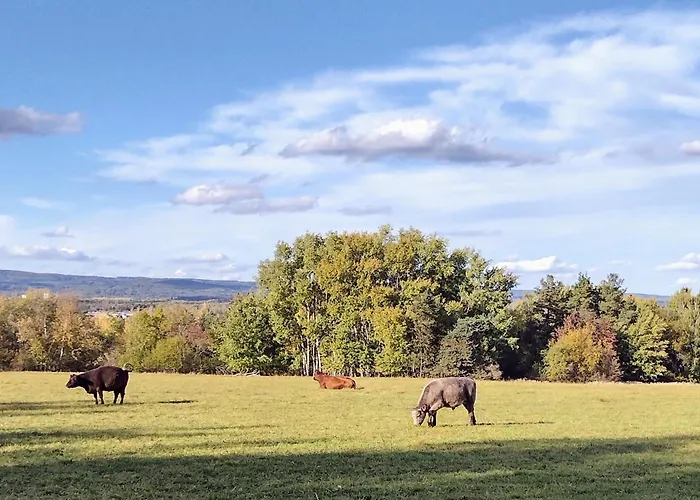Hajovna Libice Rybniky (Pribram)
